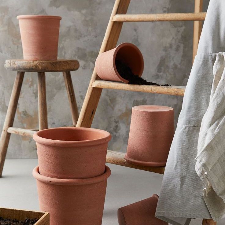Terracotta vs. Other Planters: Why Your Plants Will Thank You