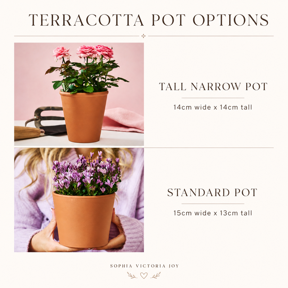 Personalised Engagement Gift Plant Pot