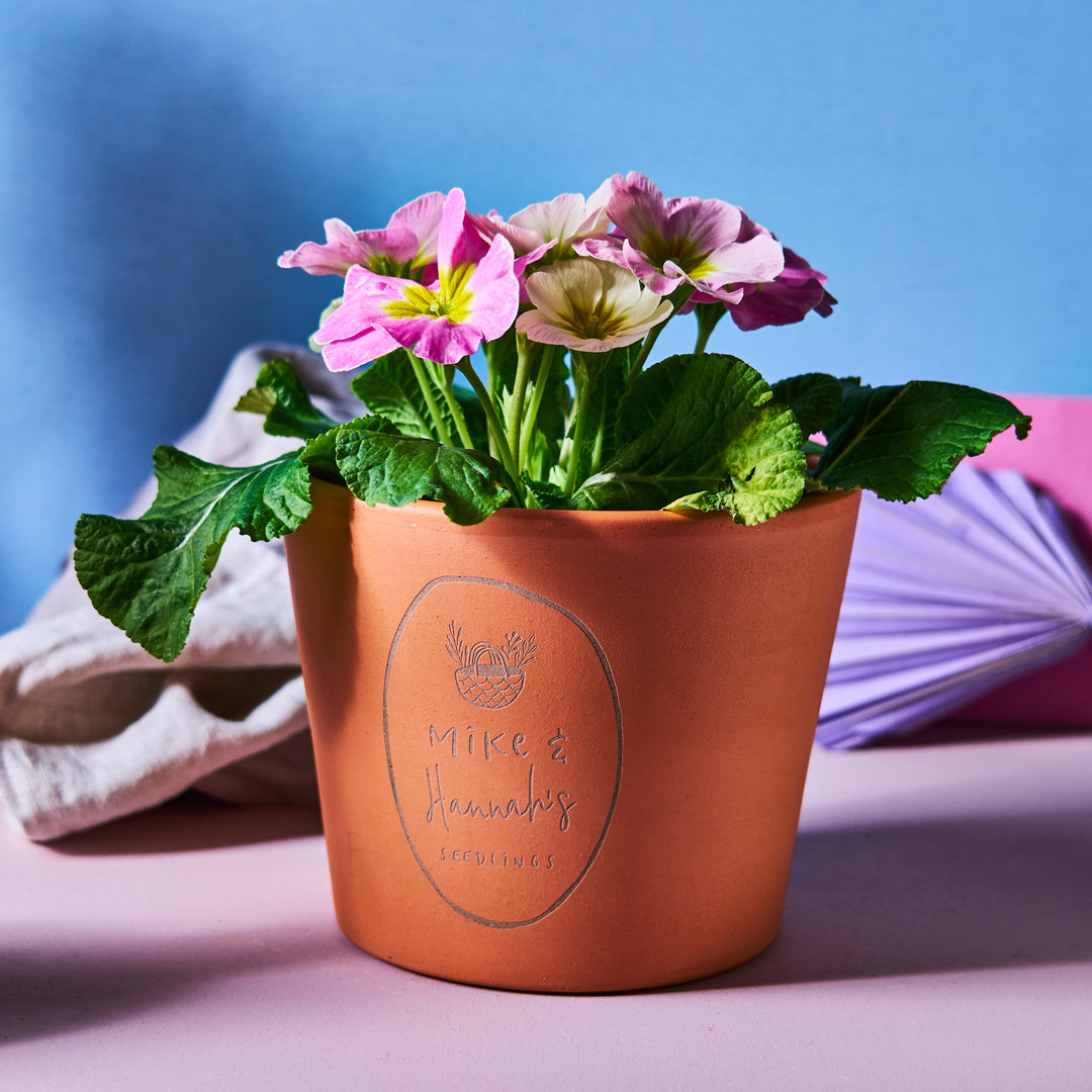 Personalised Couples Terracotta Plant Pot