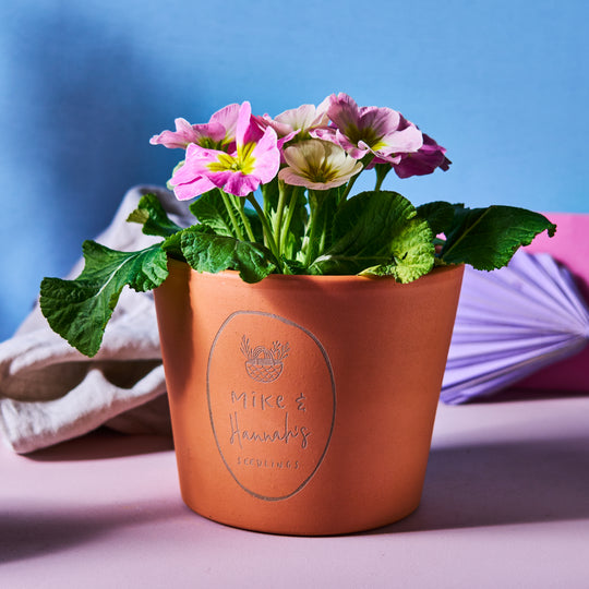 Personalised Couples Terracotta Plant Pot
