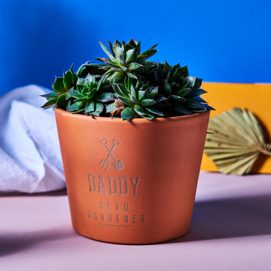 Personalised Terracotta Plant Pot