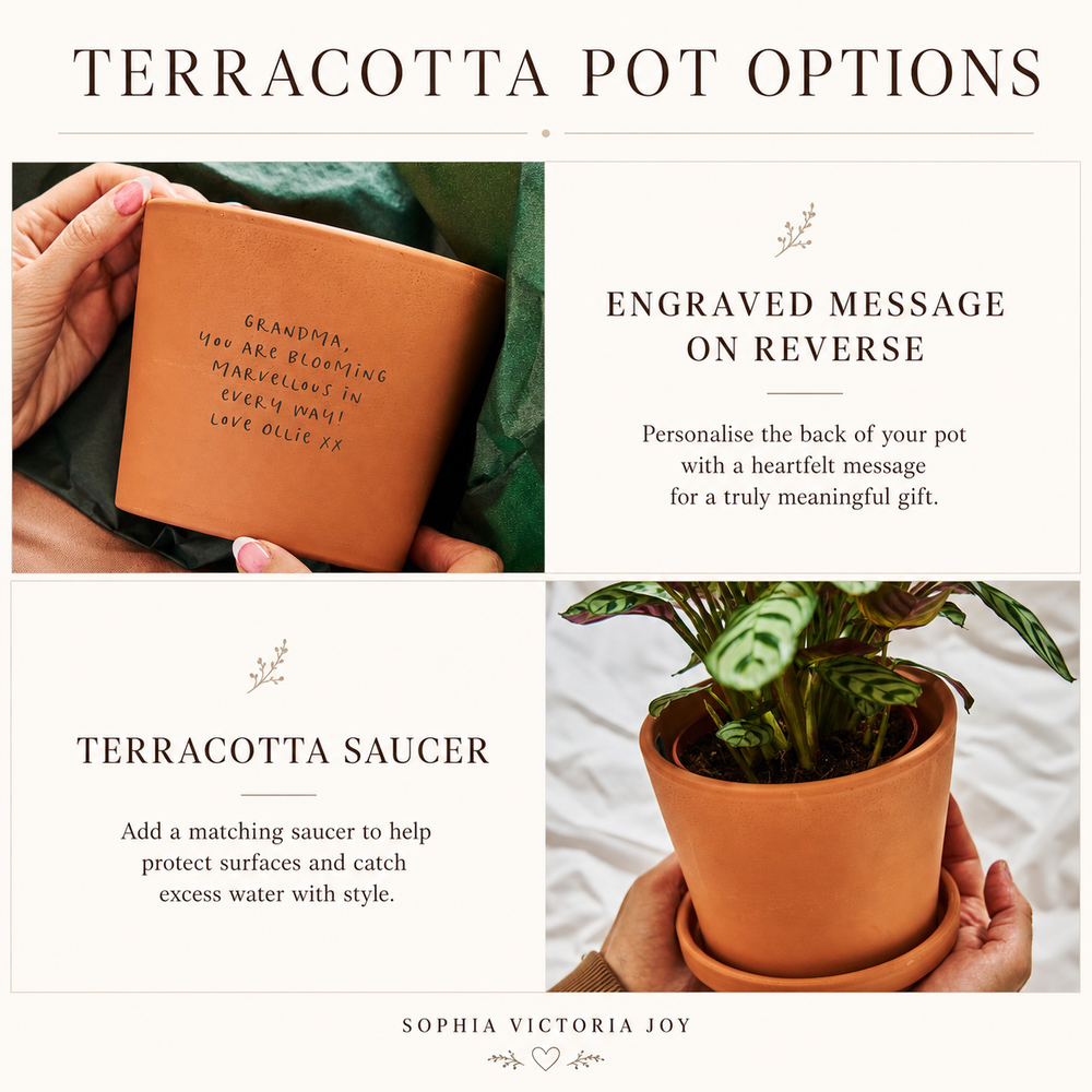 Personalised 'Grown By' Plant Pot