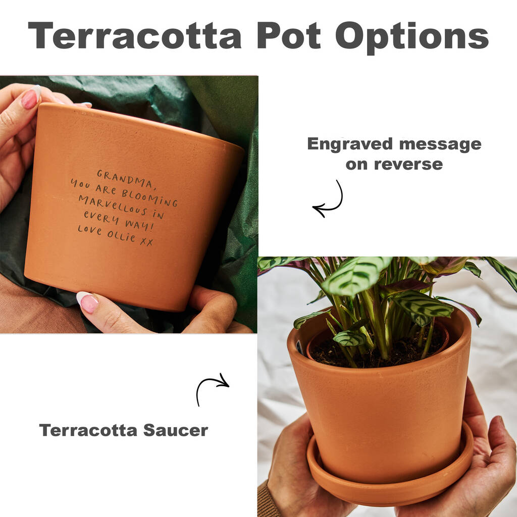 Terracotta plant pot options for personalized birthday gift for gardeners with engraved messages and saucer.