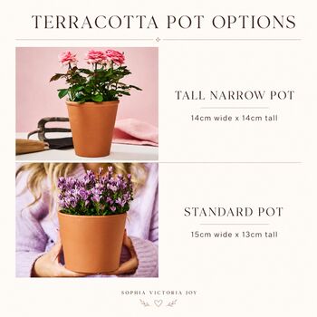 Personalised terracotta flower pot custom engraved gift