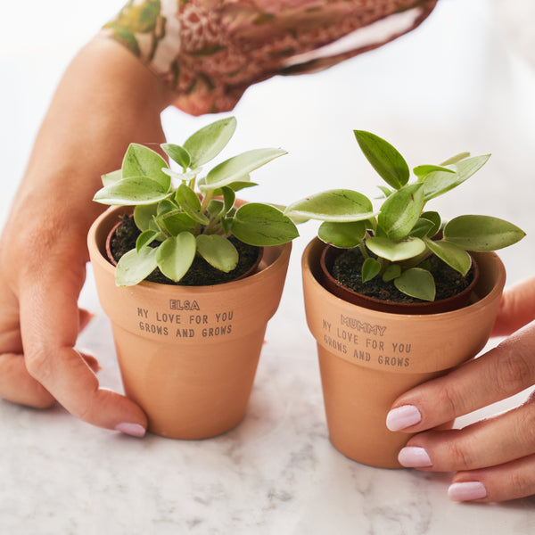 Set Of Two Personalised Terracotta Plant Pots