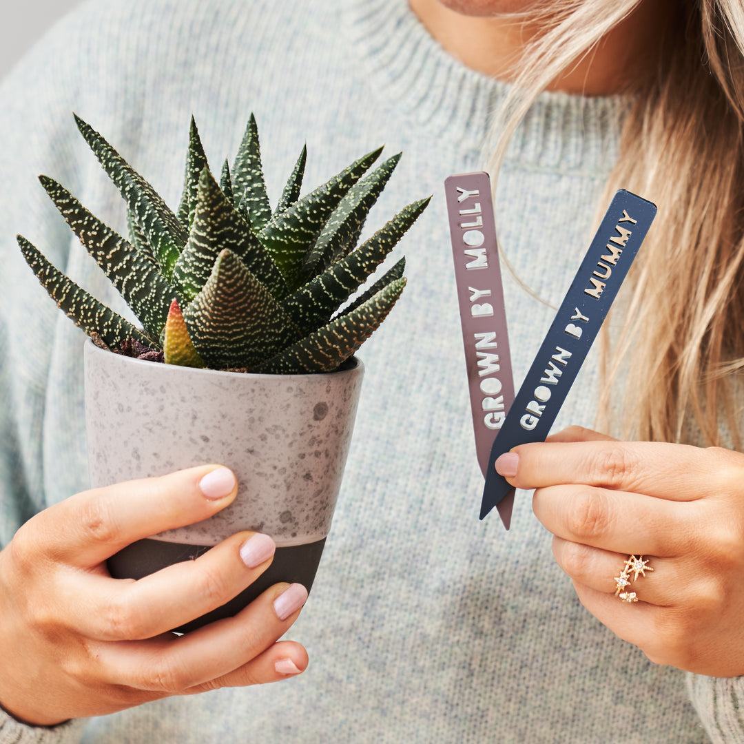 Mummy And Me Set Of Two Personalised Plant Markers