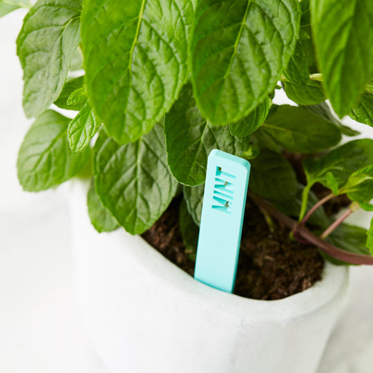Personalised Plant Markers
