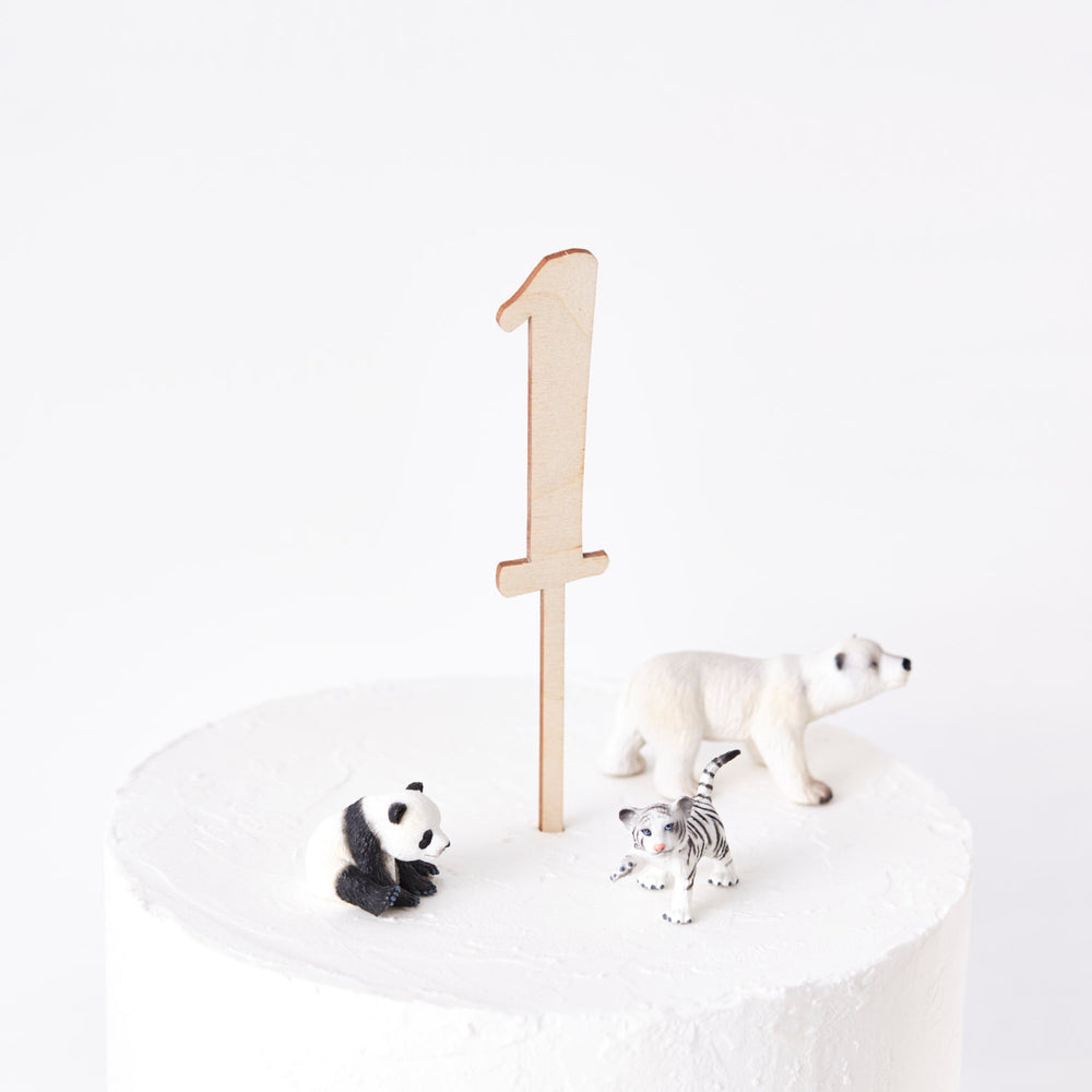 Birthday Age Wooden Cake Topper