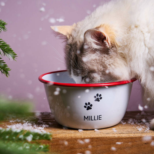 Personalised Christmas Enamel Pet Bowl