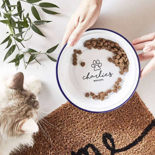 Personalised Enamel Pet Bowl