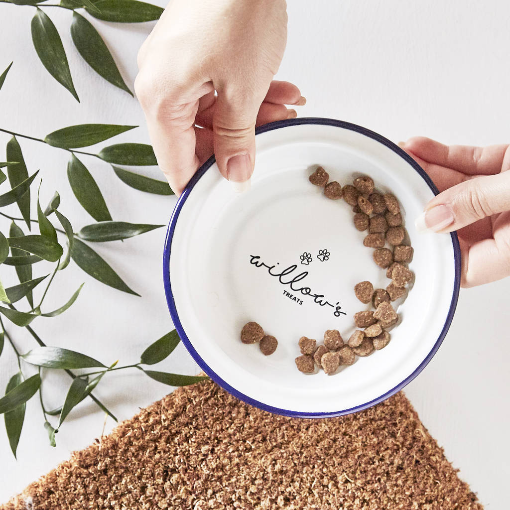 Personalised Enamel Pet Bowl