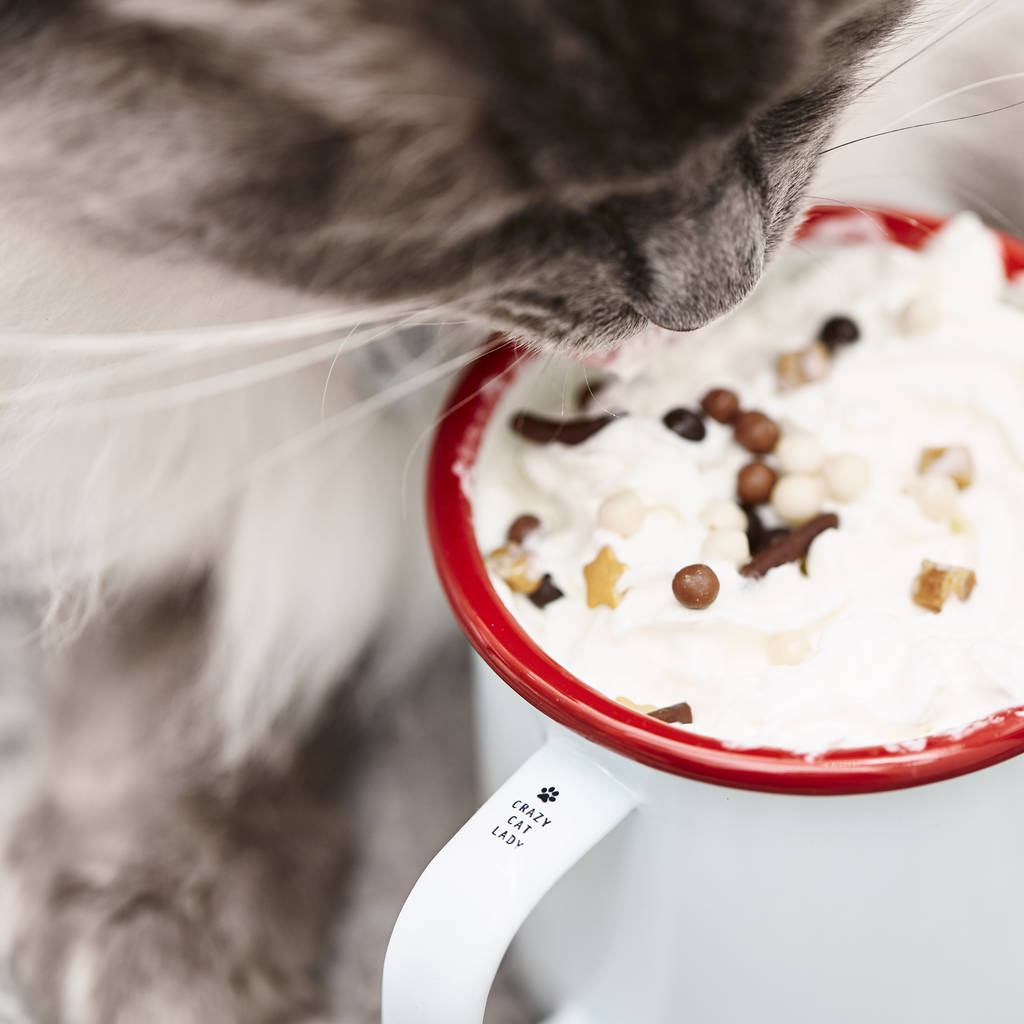 Personalised Engraved Handle Pet Mug