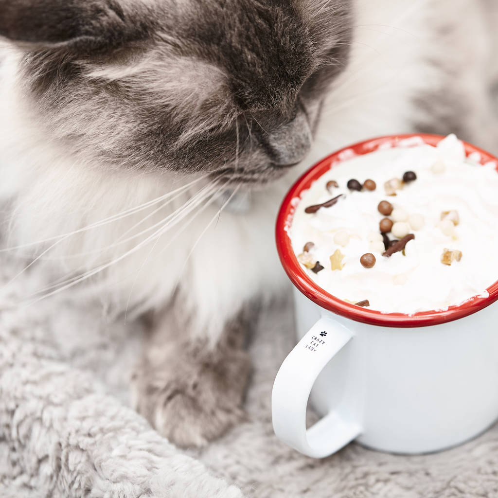 Personalised Engraved Handle Pet Mug