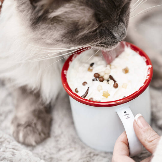 Personalised Engraved Handle Pet Mug