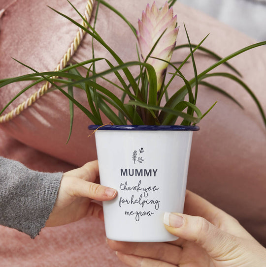 Personalised Mini Planter