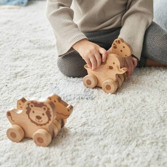 Set Of Four Push Along Wooden Toy Animals